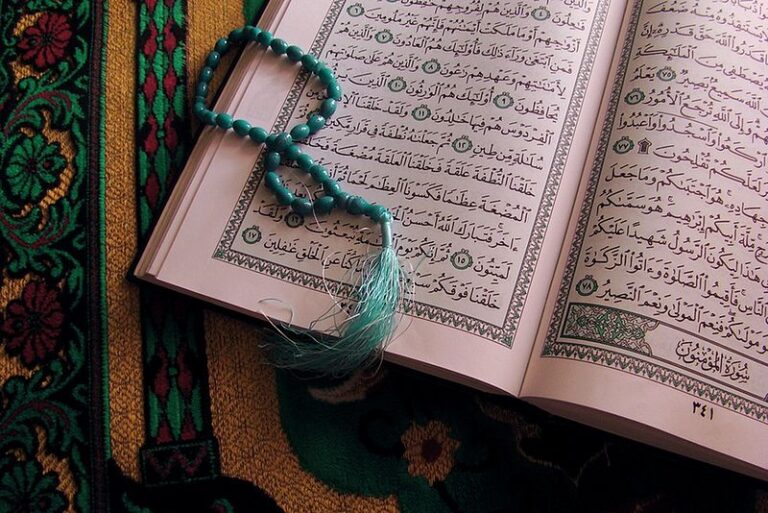 Safeer Online Madrasah Islamic Education Qur anic Arabic Qur anic 
